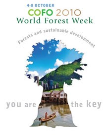 FAO: Biodiversitas Hutan Dunia dalam Bahaya