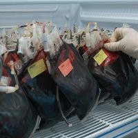 Kapan PMI Bikin Kantong Darah Sendiri?