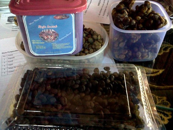 Bisnis Kopi Luwak Yang Menjanjikan