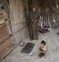 Menyambung Hidup di Tepi Gurun Sinai 