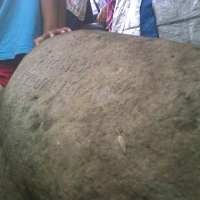 Simbol Pada Prasasti Diprediksi Beda Tahun Pembuatan