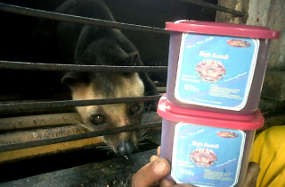 Pasar Kopi Luwak Segelap Warna Kopinya