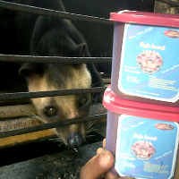 Pasar Kopi Luwak Segelap Warna Kopinya