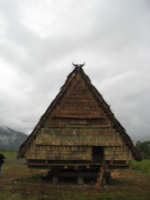 Tambi dan Buho, Arsitektur di Lembah Bada