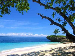 Tanjung Barito, Si Cantik dari Timur Indonesia