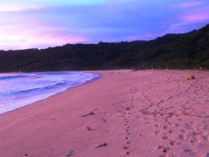 Ekspedisi Pulau Bereuh (Bagian 2) Menangis di Pantai Lambaro