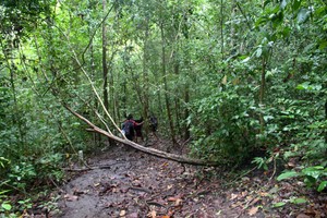 Eksotisme Pulau Sempu