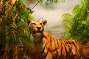 Belajar tentang satwa di Jatim Park 2