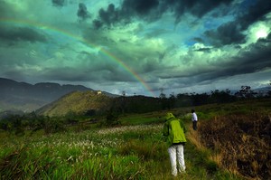 Bidadari Turun di Suroba