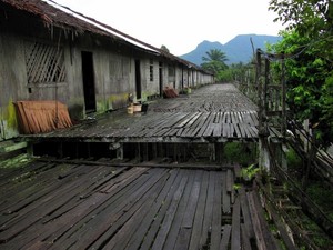 Pesona Rumah Betang Saham