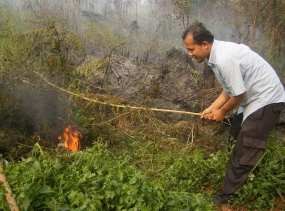 Pekanbaru Dikepung Asap Kebakaran Hutan