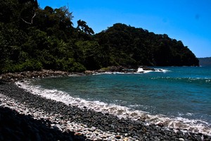 Perbedaan yang Indah dari Teluk Damai dan Teluk Hijau
