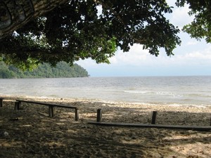 Jatuh Cinta dengan Ketapang dalam 3 Hari