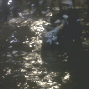 Busway Ragunan-Mampang Lumpuh Total