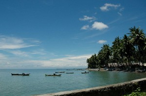 Menikah dengan Kelapa?
