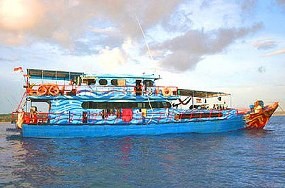 Kepala BPPD Sumbar: 9 WN Australia Selamat