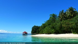 Pulau Ahe: Pulau paling Terpelihara dan Terkelola di Kawasan Taman Laut Teluk Cendrawasih