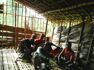 Rumah Tinggi: Rumah Ramah Lingkungan Suku Korowai