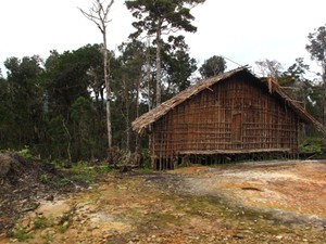 Pelukan Arfak