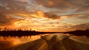Menyusuri Sungai, Menikmati Surga Kecil Yang Jatuh Ke Bumi