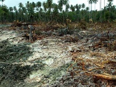 Mentawai Porak-poranda