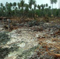 Ternyata, Tsunami Mentawai Sudah Diprediksi 9 Bulan Lalu