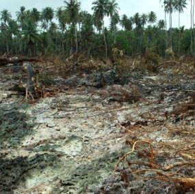 BNPB Nilai Bantuan Asing Belum Perlu di Mentawai