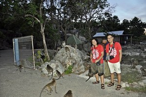 Sejenak Menikmati Suasana Gua Monyet Alak