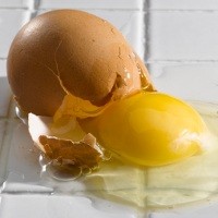 Kulit Telur Bisa Serap Pemanasan Global