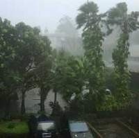 Hujan Angin Landa Kawasan Jakarta, Jarak Pandang Terbatas