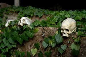 Petualangan Indiana Jones di Toraja