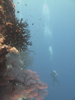 Taman Laut Pulau Ai