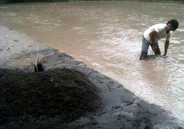 Warga Umbulmartani Panen Pasir Merapi