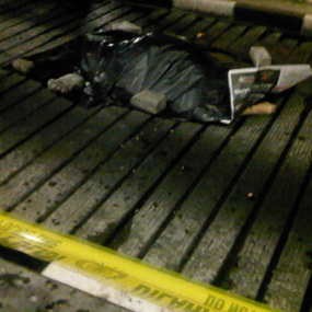 Lompat dari Flyover Tol Dukuh, Pria Tanpa Identitas Tewas Seketika