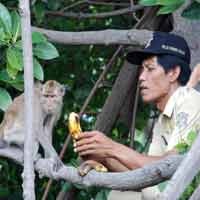 Festival Mangrove Segera Digelar di Pasuruan