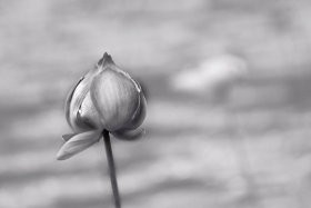 Gairah Bercinta Di Ruang Puisi