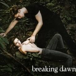 Syuting Breaking Dawn di Brazil Diprotes
