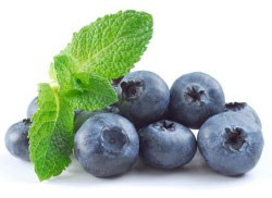 Memilih Blueberry