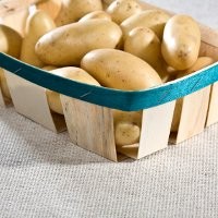 Makanan Sehat untuk Pasien Kemoterapi