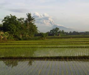 Merapi Ramah Pagi Ini