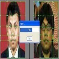 Analisa Digital Foto Gayus dan Kembarannya