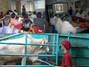 LPPOM MUI Gelar Pelatihan Penyembelihan Halal