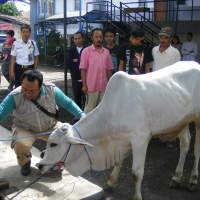 Hewan Kurban di Jabar Diprediksi Naik 10 Persen