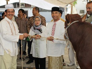 Kurban Harta untuk Indonesia