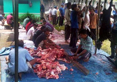 Pemotongan Hewan Kurban di Masjid Darul Jannah