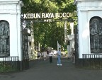 Malu Masuk ke Tempat Wisata Kebun Raya Bogor 