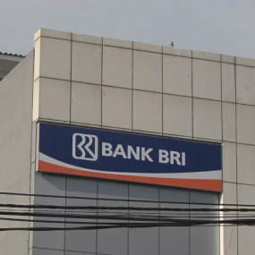 BRI Incar Dua Bank Kecil di 2011