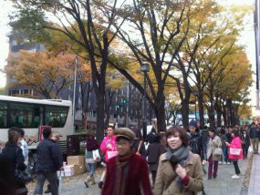 Kota Modern yang Begitu Tenang