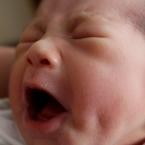 Kenzie Satrio Bagus, 1 Bulan; Lelaki; m