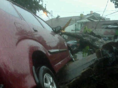 Tersangkut Akar Pohon Tumbang, Avanza Nyaris Terguling di Tebet